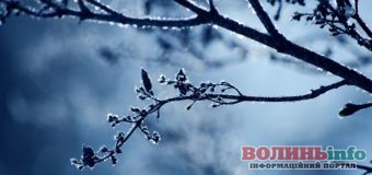1 лютого – яке сьогодні свято та кого вітати з Днем ангела