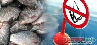 З 1 квітня в Україні заборонили нерестовий лов риби