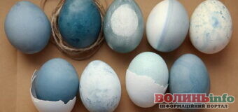 Готуємося до Великодня: фарбуваємо великодні яйця чаєм каркаде