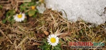 10 квітня – кого сьогодні вітати з Днем ангела та чим особливий цей день?