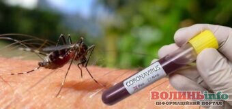 Учені розповіли, чи можна заразитися COVID-19 через укус комара