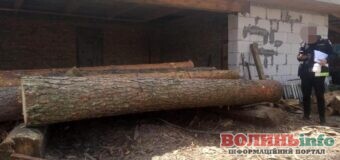В Цумані на приватній пилорамі виявили незаконну деревину на понад 43 тисячі гривень