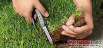 Чи буде шанс у земельних рейдерів, або Що виявила звірка відомостей щодо держреєстрації земельних ділянок