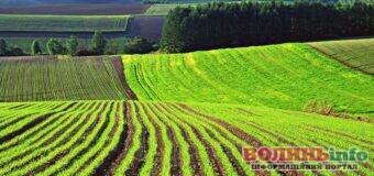 Мораторій на ринок землі скасовують – які документи потрібні для продажу?