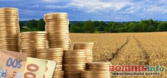 Волиняни значно активніше декларують доходи від продажу сільськогосподарської продукції