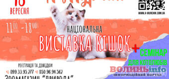 Клуб любителів кішок «А-Мурчик» запрошує на національну Виставку