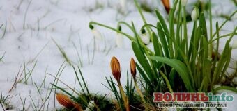 Що святкуватимемо у березні 2022 року?