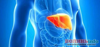 УЗД печінки: що потрібно знати