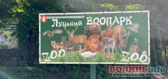 Скільки коштує відвідати зоопарк у Луцьку?