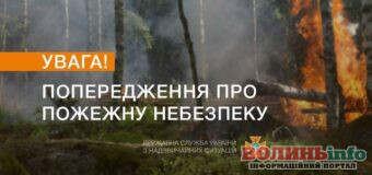 Волинян закликають бути обережними з вогнем – в Україні оголошено надзвичайний рівень пожежної небезпеки.