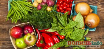 Скільки овочі можуть лежати в холодильнику і в погребі: правила збереження продуктів