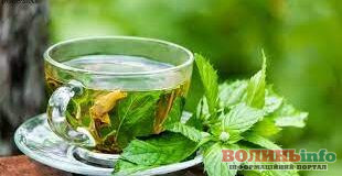 Лікувальні властивості чаю з м’яти + рецепт антистрес-напою