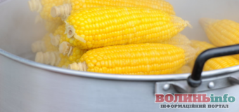 Варена кукурудза: як обрати та правильно зварити