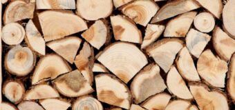 Купити дрова відтепер українці можуть в державному інтернет магазині “Дрова-Є”