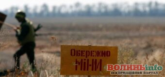 Прикордонники білорусі звинувачують українців у мінуванні, руйнуванні доріг та інфраструктури