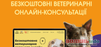 Безкоштовна ветеринарна допомога онлайн: тварини з окупованих території мають право на допомогу