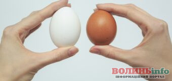 В Україні курячі яйця продаватимуть за новими правилами: уряд розробив нові вимоги