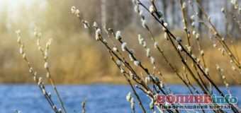 “Запах весни” у лютому: синоптики розповіли, коли українцям чекати на весняне тепло