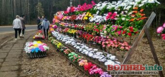 На Рівненщині голова громади заборонив приносити штучні квіти на кладовище