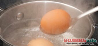 Готуємося до великодня: як зварити яйця, щоб шкарлупа не тріснула