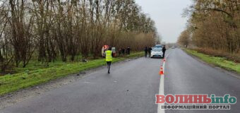 Летальна ДТП поблизу Луцька: водій легковика помер на місці