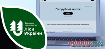Реформа лісової галузі: З 1 червня в Україні буде можливість оформити лісорубний квиток онлайн