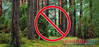Для відпочинку та збору грибів та ягід відводять спеціальні місця: Що потрібно знати про заборону відвідування лісів на Волині
