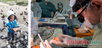 “Серце мого сина б’ється!”: Історія чотирирічного хлопчика, який став посмертним донором органів, та врятував життя трьом дітям