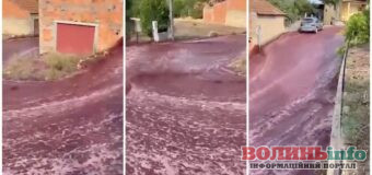 Вулиці португальського містечка затопило вином