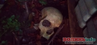 Стали відомі результати експертизи по знайденому черепу у центрі Луцька