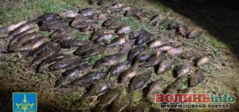 Нарибалив на мільйон: волинянина судитимуть за незаконний вилов риби