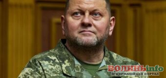 Залужного не звільняли: офіційні коментарі