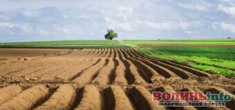 З нового року в Україні відкрили доступ до ринку землі для юридичних осіб