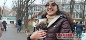 Нових господарів для безпритульних тварин знаходять на виставці: у Миколаєві в оригінальний спосіб прилаштовують собак та котів