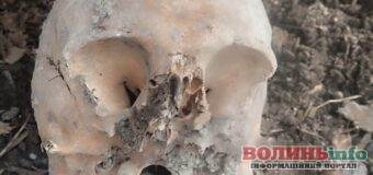 У Луцьку місцева мешканка знайшла посеред вулиці череп схожий на людський: кому належить розповість дослідження