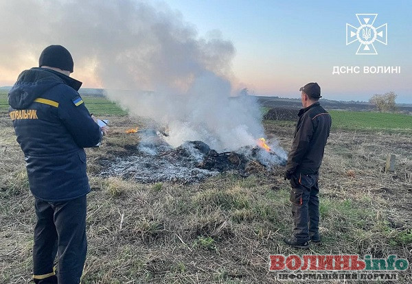 спалювання трави