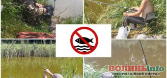 Вилов риби в Центральному парку Луцька шкодить довкіллю, а також “битиме” по кишені