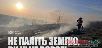 Не паліть траву: бережіть себе, довкілля та Україну!