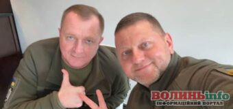 ВЛК визнала Залужного непридатним до військової служби