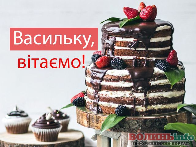 Василя