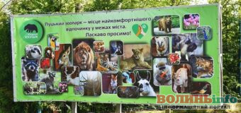 Цікавий weekend: Луцький зоопарк пропонує подорож у дику природу, не виходячи з міста