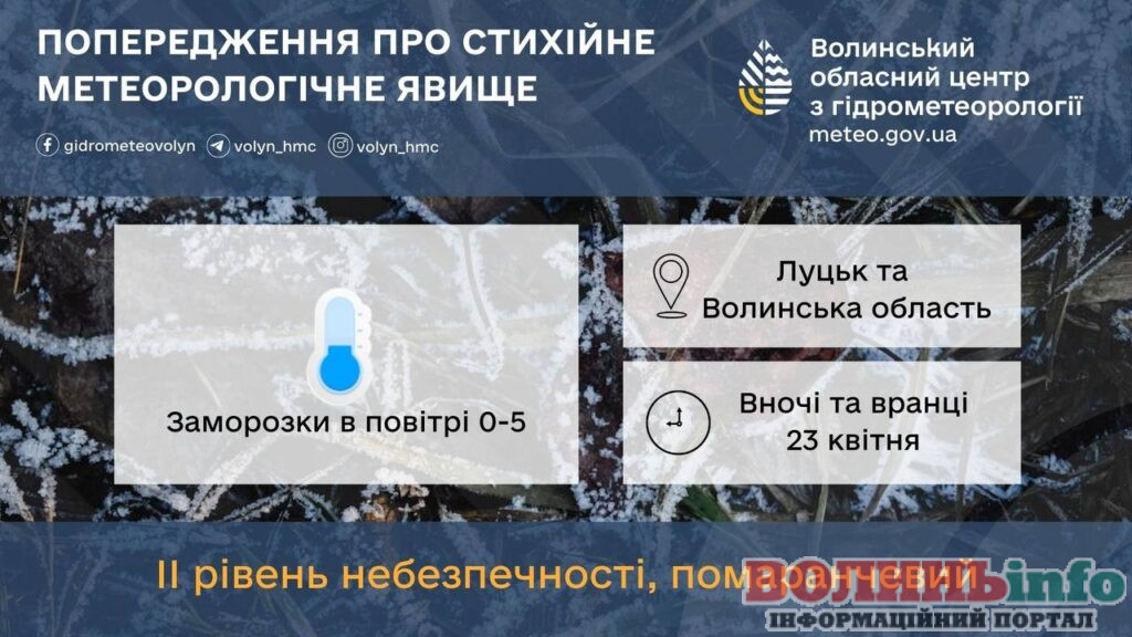 прогноз