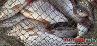 Рибалка на Волині “влетів” у копійку: у скільки обійдеться одна рибина під час нересту?