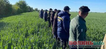 На Волині цілу ніч шукали зниклих дворічних двійнят