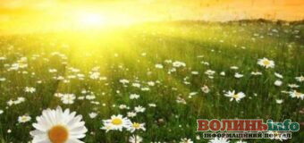 Літнього Миколи: історія свята, та народні повір’я