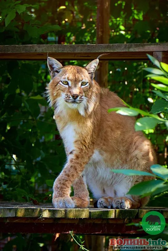 Луцький зоопарк