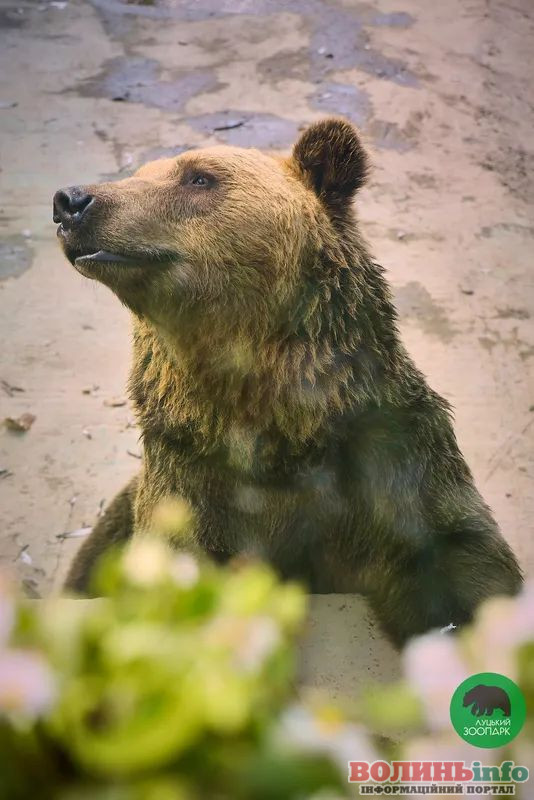 Луцький зоопарк