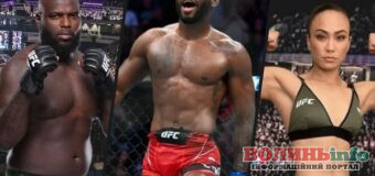 Абсолютный бойцовский чемпионат UFC и спортивные ставки