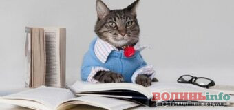 8 звичок, які можуть вказувати на недостатній інтелект: погляд психологів