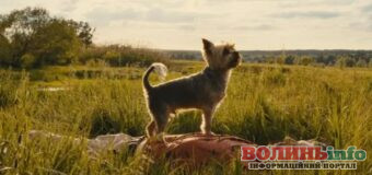 Фільм про Україну номіновано на Оскар: історія “Порцелянової війни” серед претендентів